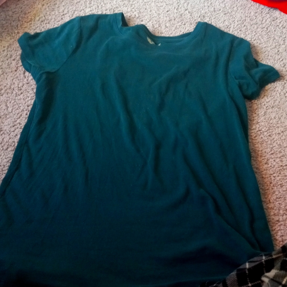 Blue/green 1972 Faded Glory tee